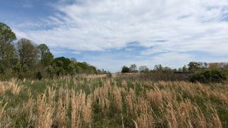 0 Meadows Rd, Portland, TN 37148