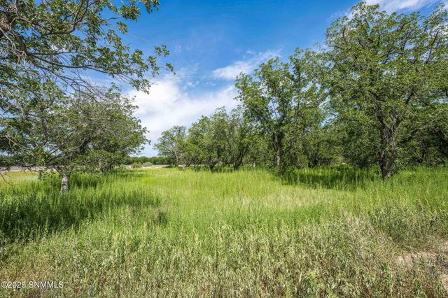 6220 NM-478, Mesquite, NM 88048