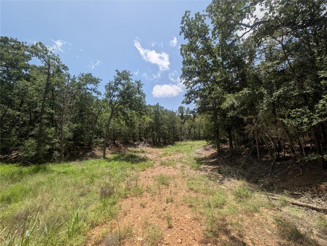160 Wailupe CIR, Bastrop, TX 78602