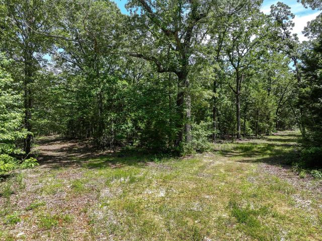 TBD Private Rd 8079 Road, Ben Wheeler, TX 75754