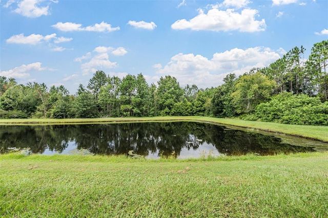 26832 JUNIPER BAY DRIVE, Wesley Chapel, FL 33544