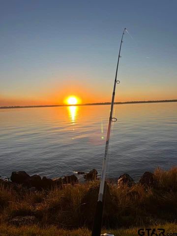 18406 Clear Lake, Flint, TX 75762