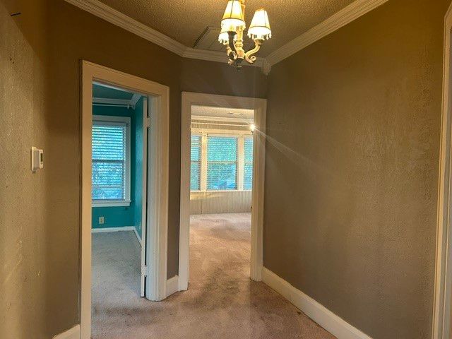 1007 N Center Street, Bonham, TX 75418