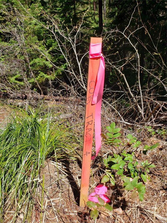 Tract 4 Nine Mile Road, Huson, MT 59846 photo 2