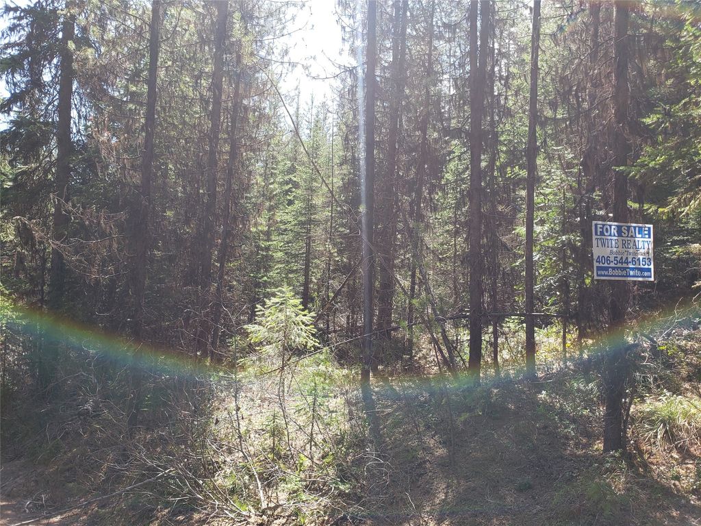 Tract 4 Nine Mile Road, Huson, MT 59846 photo 3