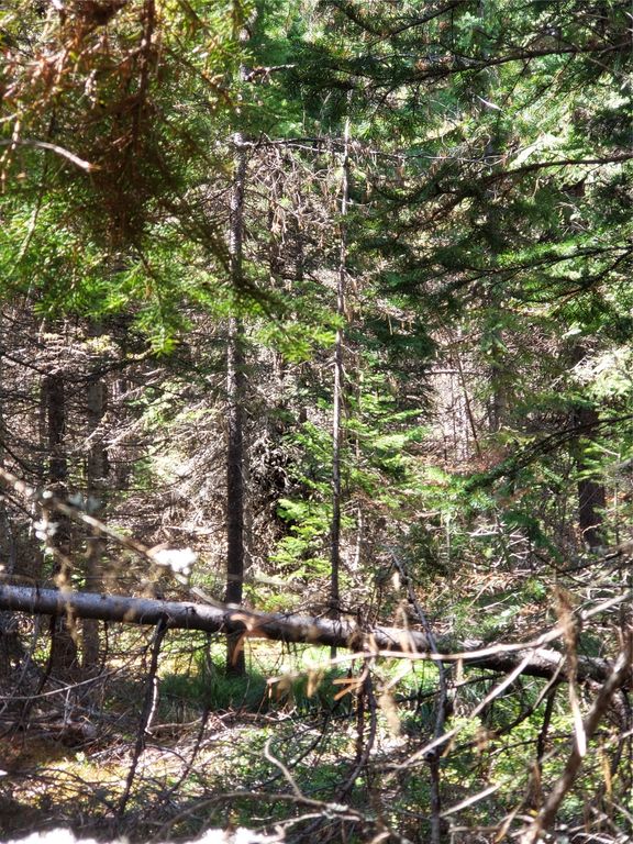 Tract 4 Nine Mile Road, Huson, MT 59846 photo 4