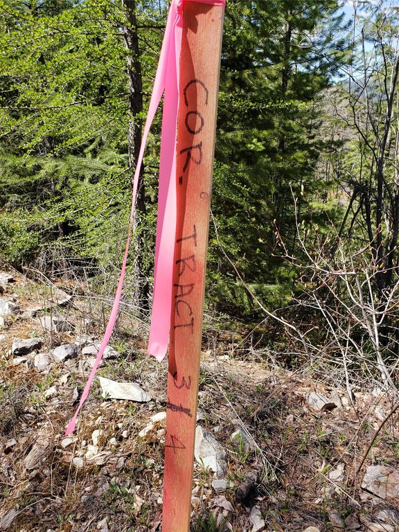 Tract 4 Nine Mile Road, Huson, MT 59846 photo 7