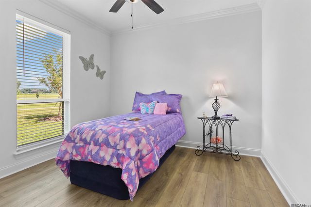 39561 Hernando De Soto Dr, Darrow, LA 70725