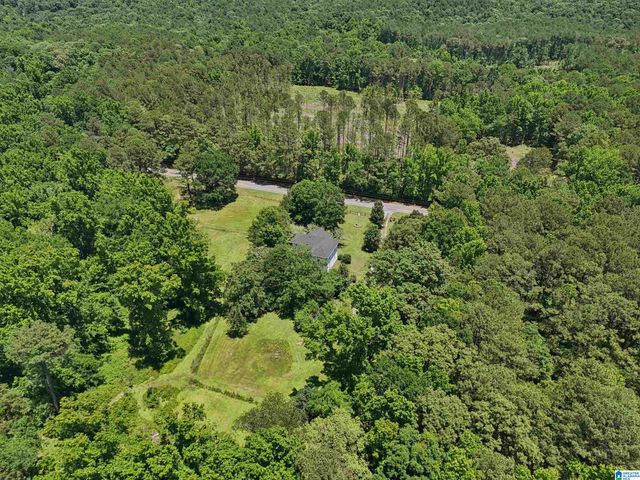 5154 PLANTERSVILLE ROAD, Alpine, AL 35014