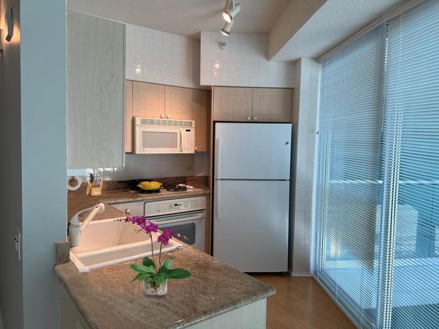 1720 Maple Avenue 204, Evanston, IL 60201