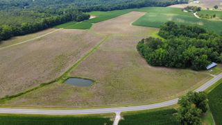 TBD (Tract 3) Long Branch Swamp Rd., Green Sea, SC 29545