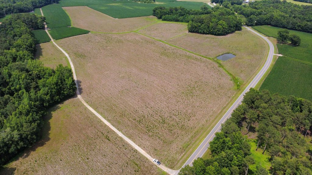 TBD (Tract 3) Long Branch Swamp Rd., Green Sea, SC 29545 — photo 2