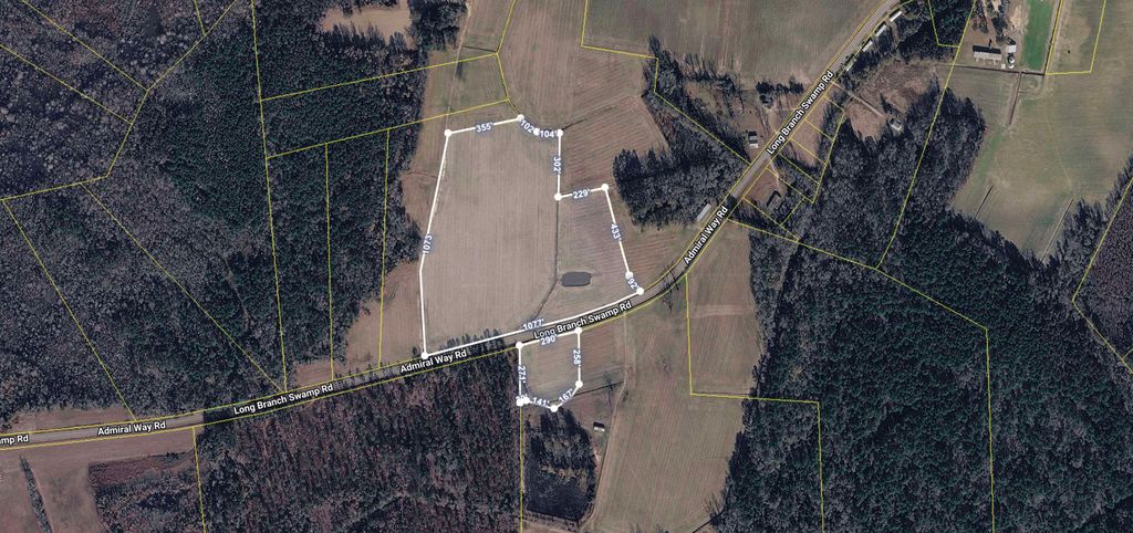 TBD (Tract 3) Long Branch Swamp Rd., Green Sea, SC 29545 — photo 3
