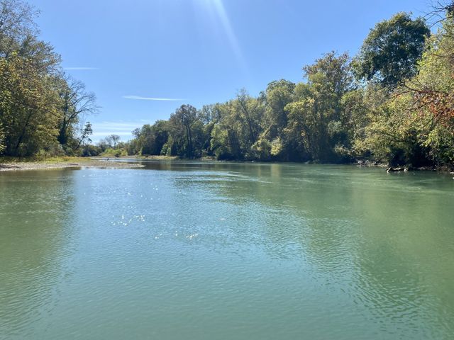 339 Flatwoods School Rd, Linden, TN 37096