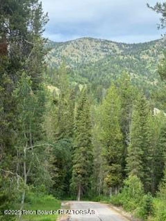 11 & 12 WINDSONG, Alpine, WY 83128 photo 2