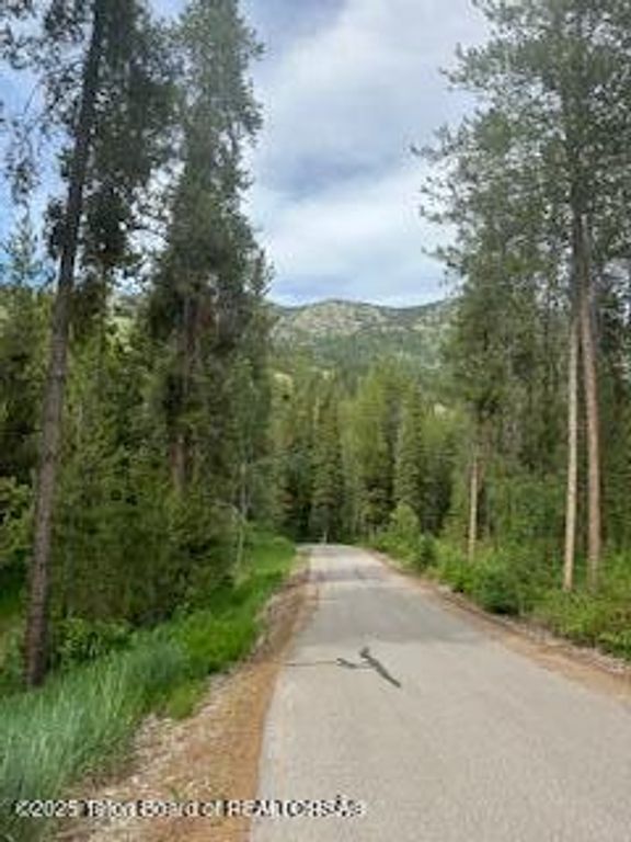 11 & 12 WINDSONG, Alpine, WY 83128 photo 4