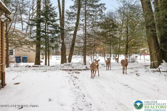 3280 Red Run Road, Coolbaugh Twp, PA 18346