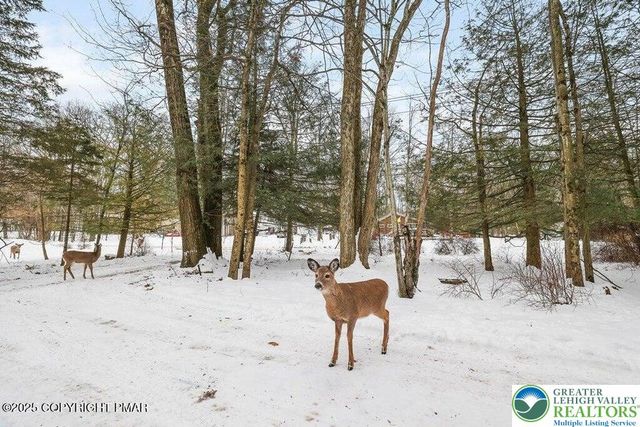 3280 Red Run Road, Coolbaugh Twp, PA 18346