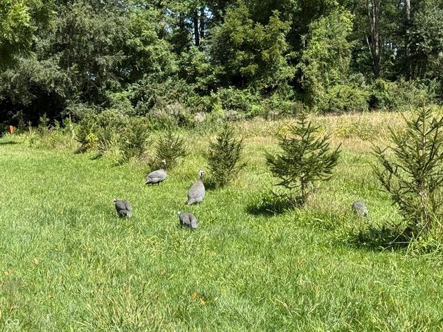 2710 E State Road 32, Crawfordsville, IN 47933