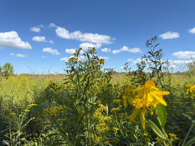 2710 E State Road 32, Crawfordsville, IN 47933