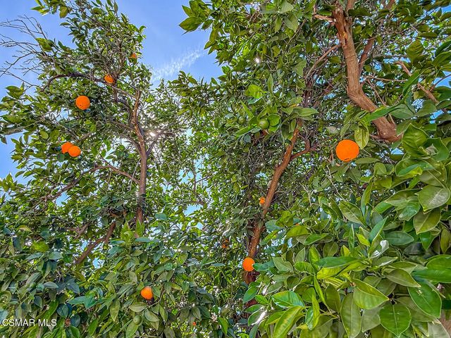 10111 Oak Park Avenue, Northridge, CA 91325