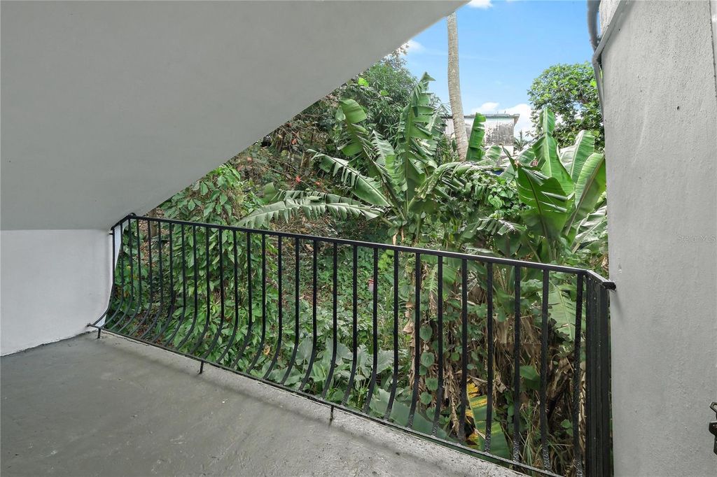 Image 33 of property listing at BO. ZARZAL COMUNIDAD CANDAL, CALLE 15 67-A, Rio Grande, PR 00745