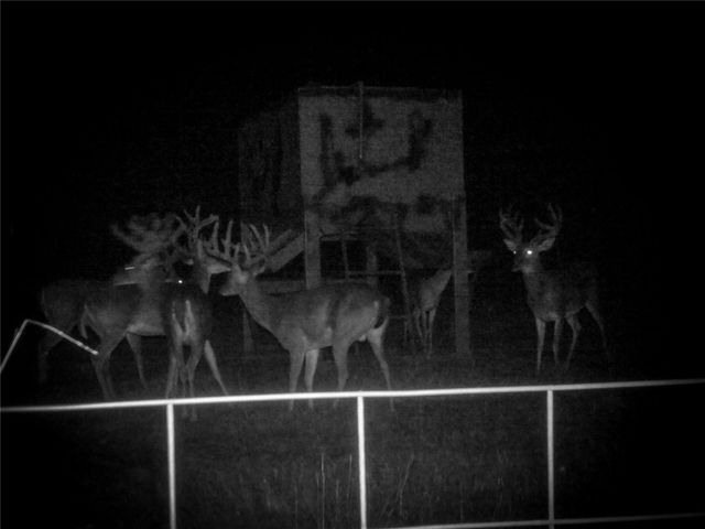 4727 County Road 19, Hallettsville, TX 77442
