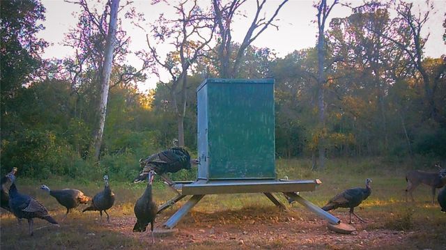4727 County Road 19, Hallettsville, TX 77442