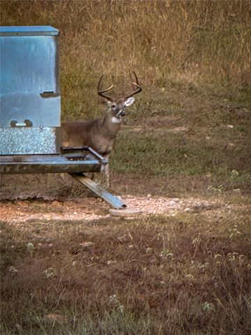 4727 County Road 19, Hallettsville, TX 77442