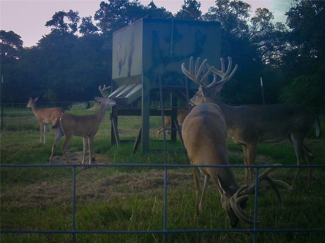 4727 County Road 19, Hallettsville, TX 77442