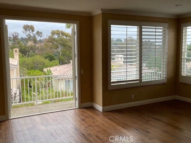 30902 Via Ultimo, San Juan Capistrano, CA 92675