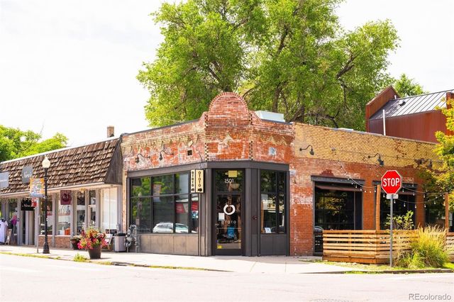 668 S Corona Street, Denver, CO 80209