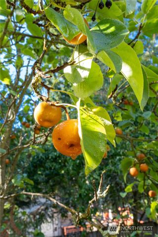 3715 185th Street E, Tacoma, WA 98446