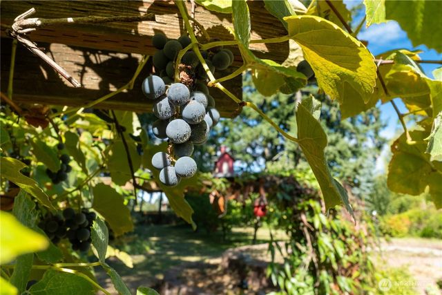 3715 185th Street E, Tacoma, WA 98446