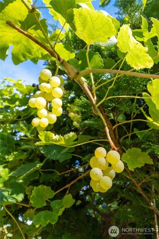 3715 185th Street E, Tacoma, WA 98446