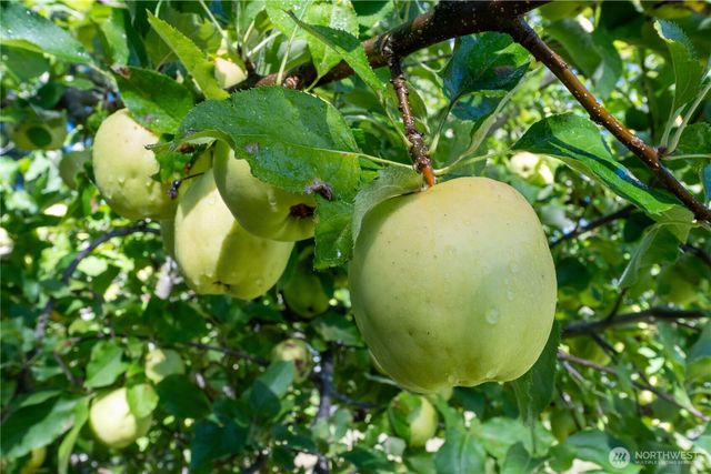 3715 185th Street E, Tacoma, WA 98446