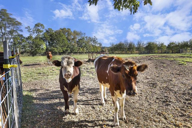 10819 N Highway 14, Brooklyn, WI 53521