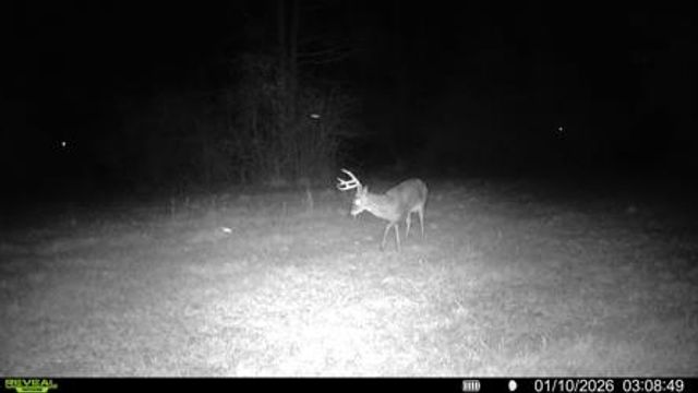 2156 County Road 73, Slocomb, AL 36375
