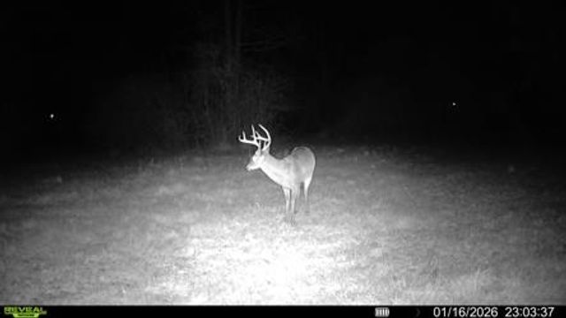 2156 County Road 73, Slocomb, AL 36375