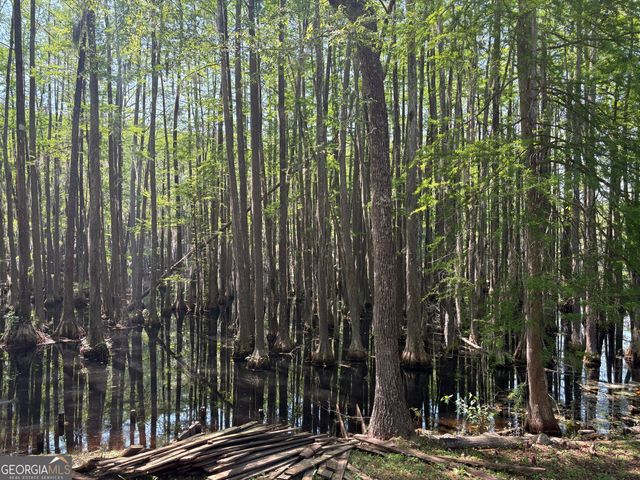 159 Cypress Lake Drive, Statesboro, GA 30458