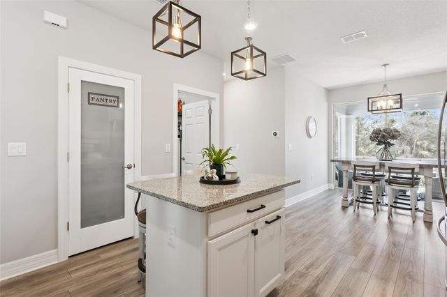 1148 BOBCAT CHASE BOULEVARD, Oakland, FL 34787