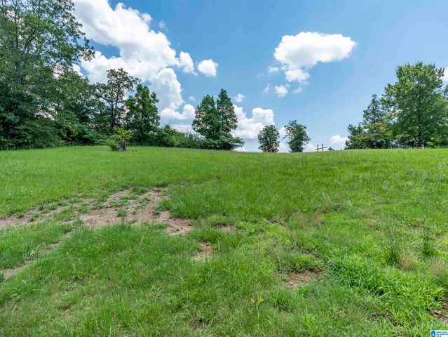 143 CONCORD HIGHLAND DRIVE, Bessemer, AL 35023