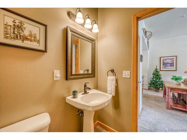 542 Northstar Dr 1955, Dillon, CO 80435