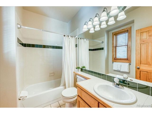 542 Northstar Dr 1955, Dillon, CO 80435