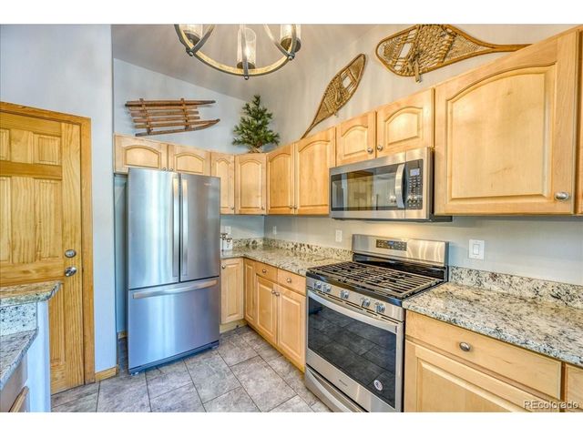 542 Northstar Dr 1955, Dillon, CO 80435