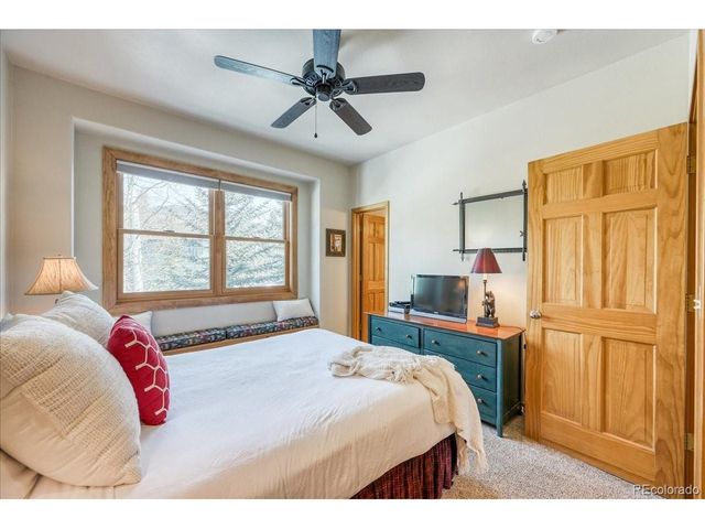 542 Northstar Dr 1955, Dillon, CO 80435