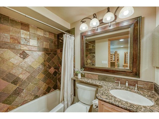 542 Northstar Dr 1955, Dillon, CO 80435