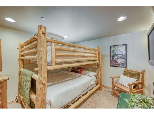 542 Northstar Dr 1955, Dillon, CO 80435