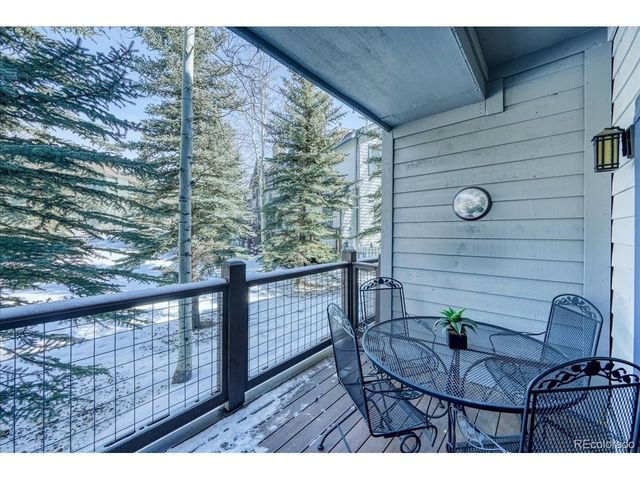 542 Northstar Dr 1955, Dillon, CO 80435