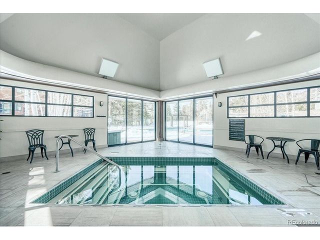 542 Northstar Dr 1955, Dillon, CO 80435